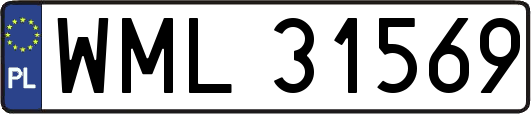 WML31569