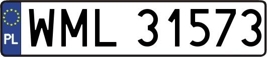 WML31573