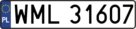 WML31607