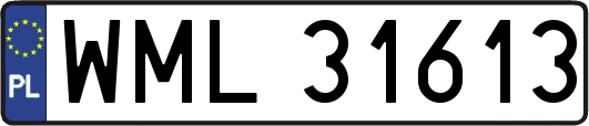 WML31613