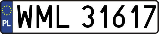 WML31617