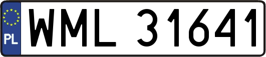 WML31641