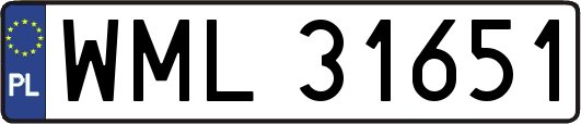 WML31651