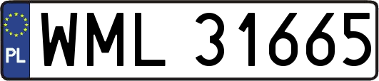WML31665