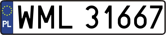 WML31667