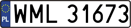 WML31673