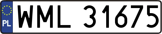 WML31675