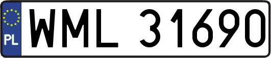 WML31690