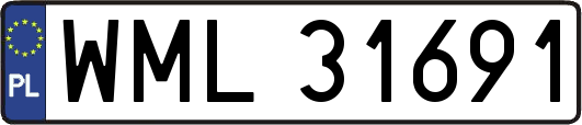 WML31691