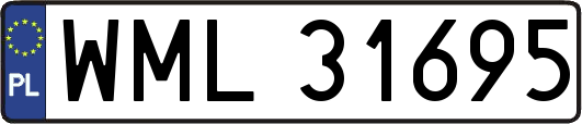 WML31695