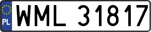 WML31817