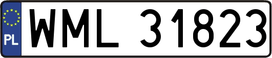 WML31823