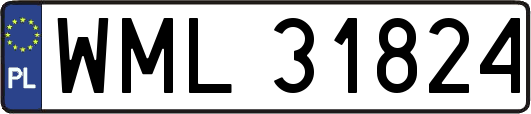 WML31824