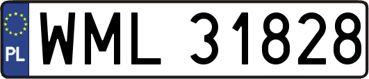 WML31828