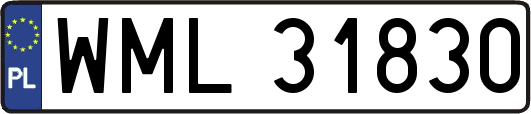 WML31830