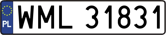 WML31831