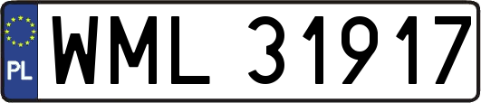 WML31917