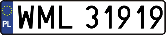 WML31919
