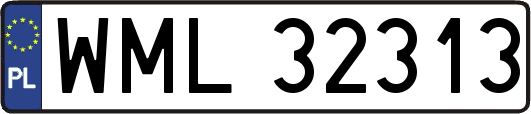 WML32313