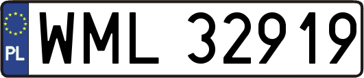 WML32919