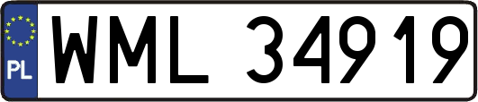 WML34919
