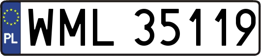 WML35119