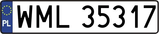 WML35317