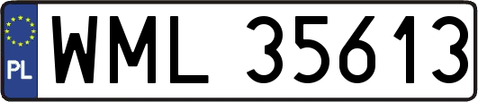 WML35613