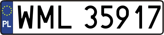 WML35917