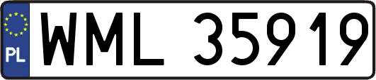 WML35919