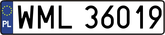 WML36019