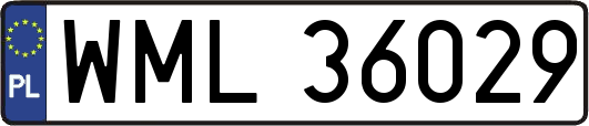 WML36029