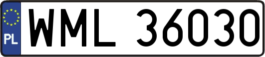 WML36030