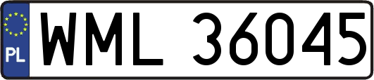 WML36045