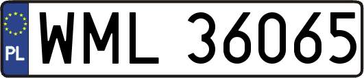 WML36065