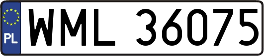 WML36075