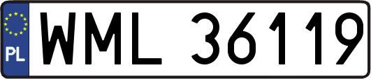 WML36119