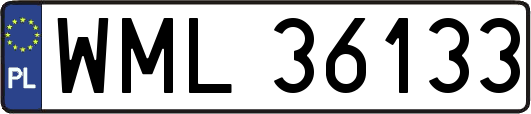 WML36133