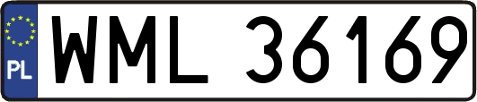 WML36169