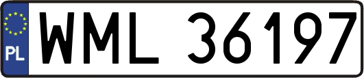 WML36197