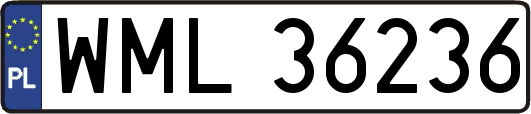 WML36236