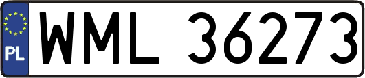 WML36273