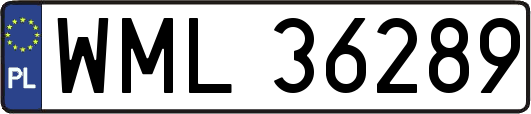WML36289