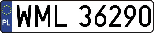 WML36290