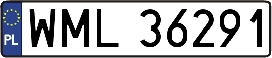WML36291
