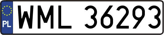 WML36293
