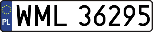 WML36295