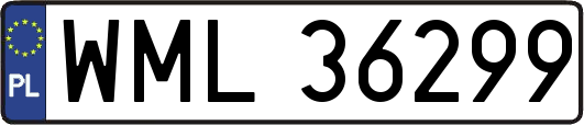 WML36299