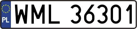 WML36301
