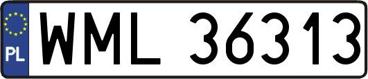 WML36313